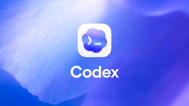 Capture d'écran de Codex 3.0 by OpenAI