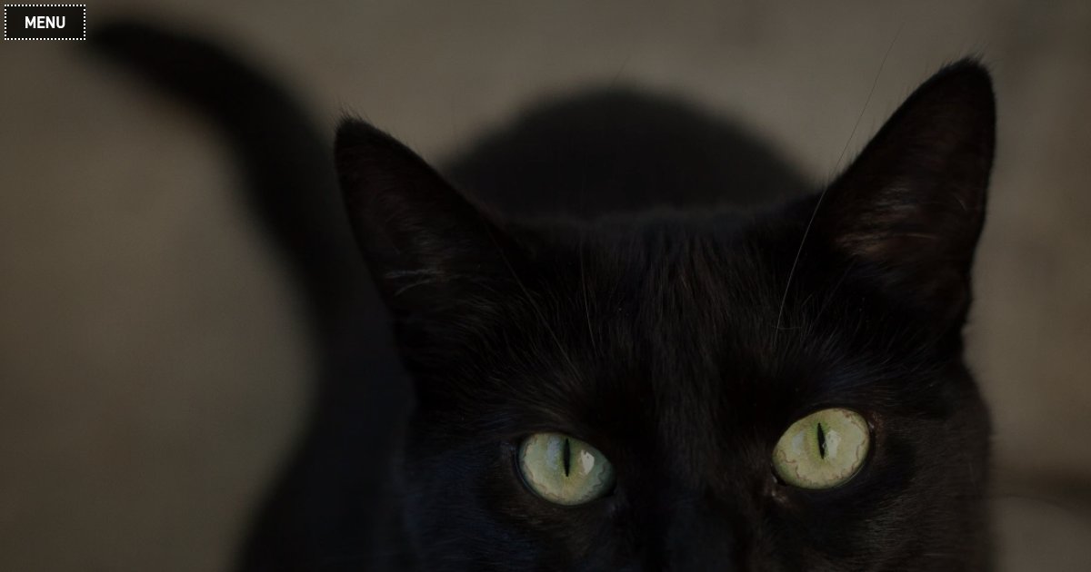 Capture d'écran de I turned a 25 year old web platform into a HATEOAS multi-agent system