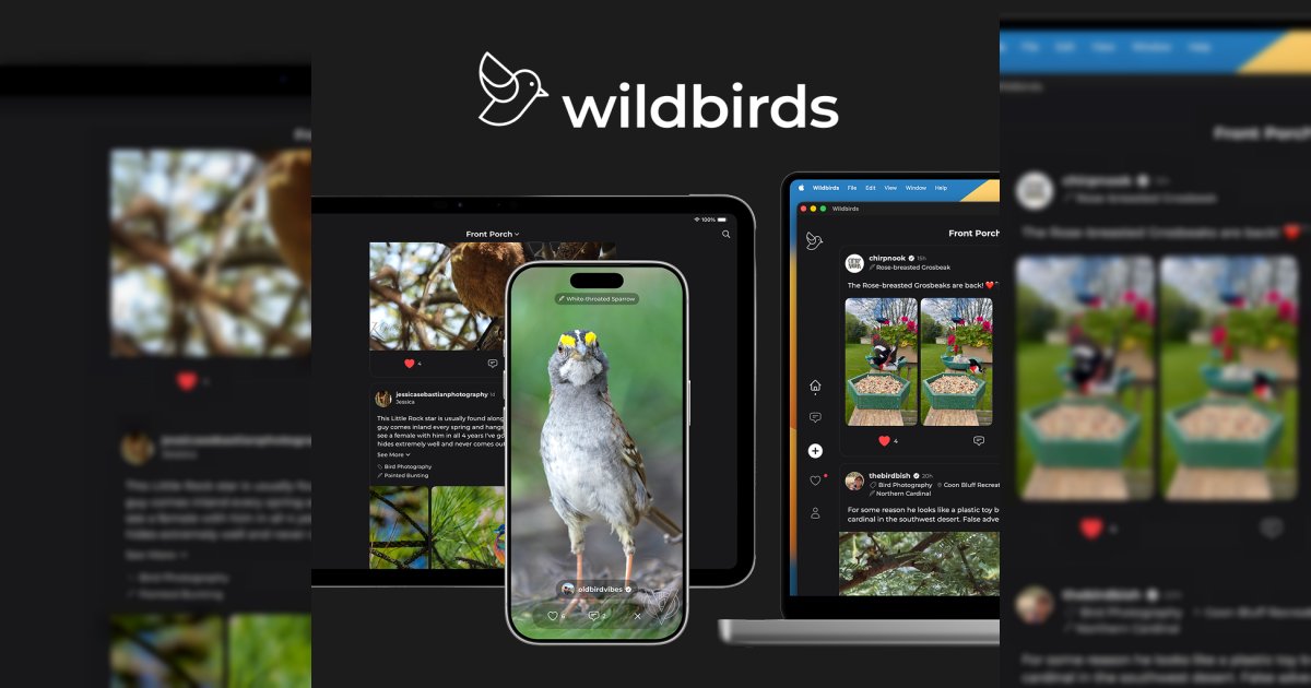 Capture d'écran de wildbirds