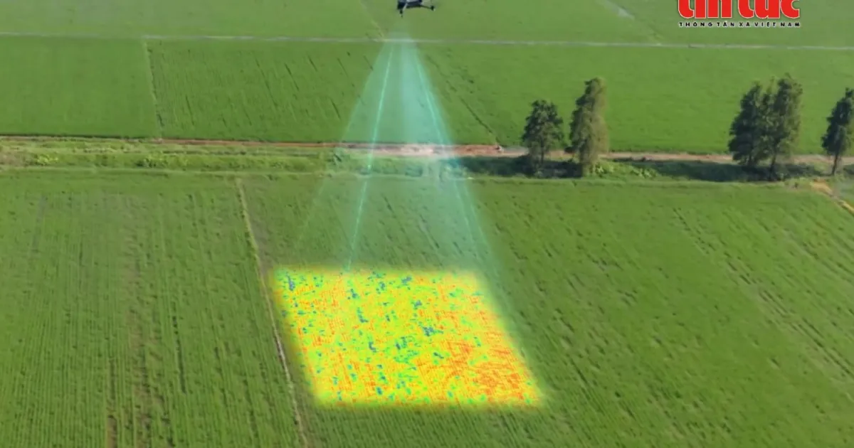 Transformation numérique : l'agriculture intelligente en avant